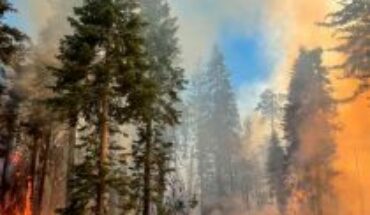 Yosemite National Park: Wildfire Threatens Some of Earth’s Oldest Trees