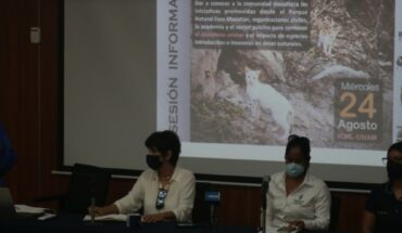 Ambientalistas proponen capacitar a policías de Mazatlán