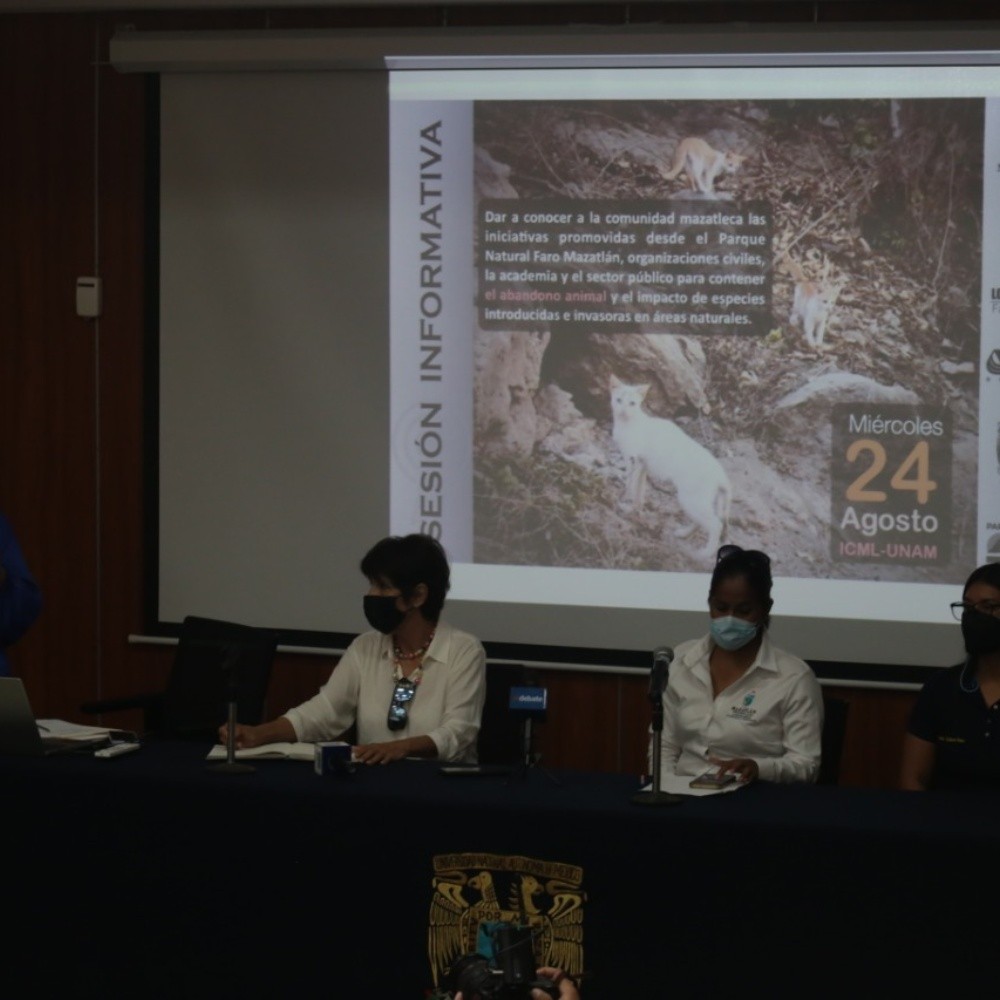 Ambientalistas proponen capacitar a policías de Mazatlán