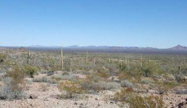 Brothers DIE HUGS in the desert of Arizona, USA