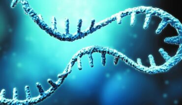 Día Mundial del ARN, la molécula más ancestral de los seres vivos
