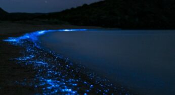Dónde están las increíbles lagunas de bioluminiscencia de Oaxaca