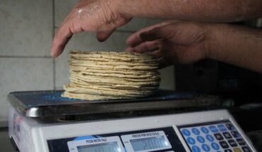 Government blames Maseca for rise in the price of tortilla