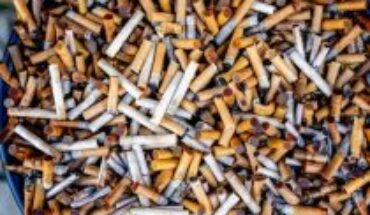 Investigadoras argentinas hallan hongos capaces de descontaminar las colillas de cigarros