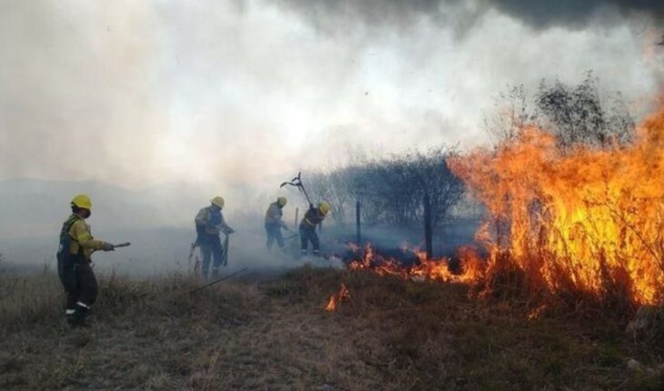 Jujuy registró unas 600 hectáreas afectadas por los incendios forestales