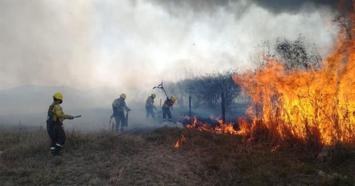 Jujuy registró unas 600 hectáreas afectadas por los incendios forestales -  Ana Noticias