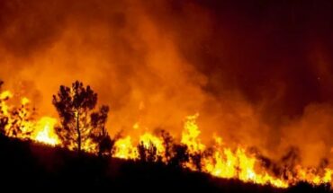 Nueve incendios permanecen activos en Santa Fe, Entre Ríos y Buenos Aires