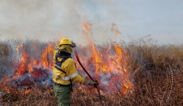 Persisten los incendios en el delta del Paraná y el Gobierno nacional amplía su denuncia