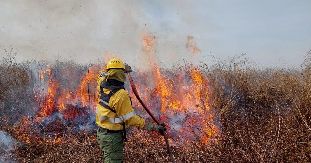 Persisten los incendios en el delta del Paraná y el Gobierno nacional amplía su denuncia