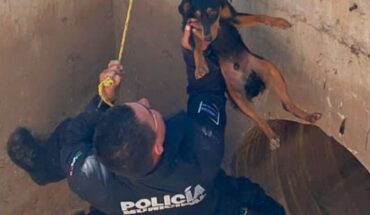 Policías rescatan a perrito del interior de un ducto en Eldorado