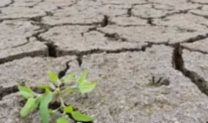 Por qué las lluvias después de las sequías pueden ser tan peligrosas