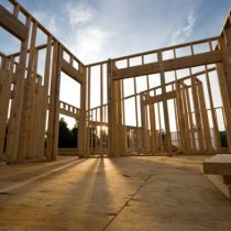 The housing and environmental contribution of wood construction