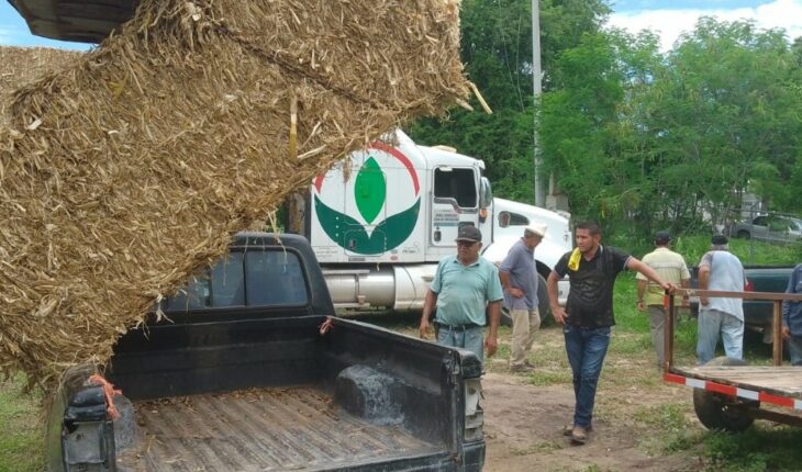 Unión Ganadera entrega pacas de tasole en San Ignacio