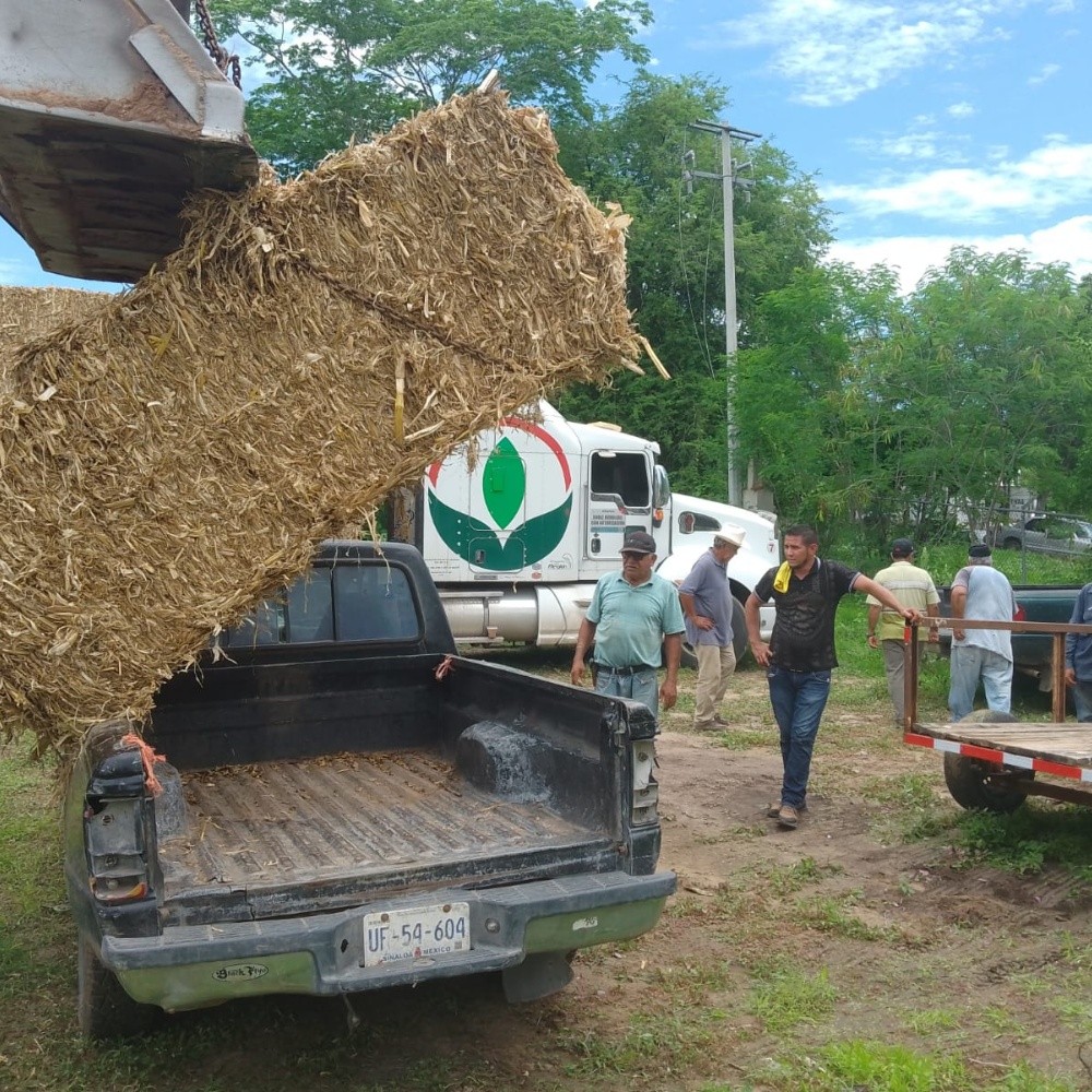 Unión Ganadera entrega pacas de tasole en San Ignacio