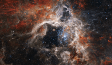 A cosmic “tarantula,” captured by NASA’s James Webb Telescope