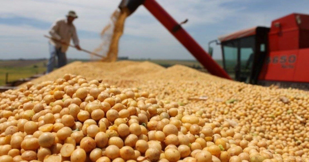 "Dólar soja": el agro liquidó USD 1.075 millones en 72 horas
