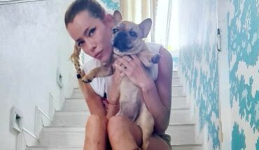 El pedido de Nicole Neumann tras la desaparición de una de sus perritas: “Si compras una perra robada sos igual de cruel”
