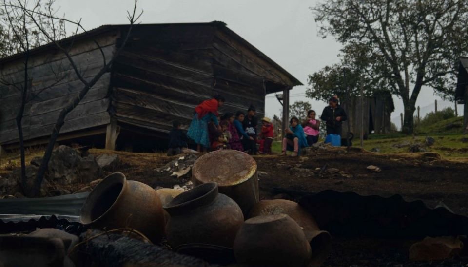 Militarización, crimen y despojos desplazan a 16 grupos indígenas