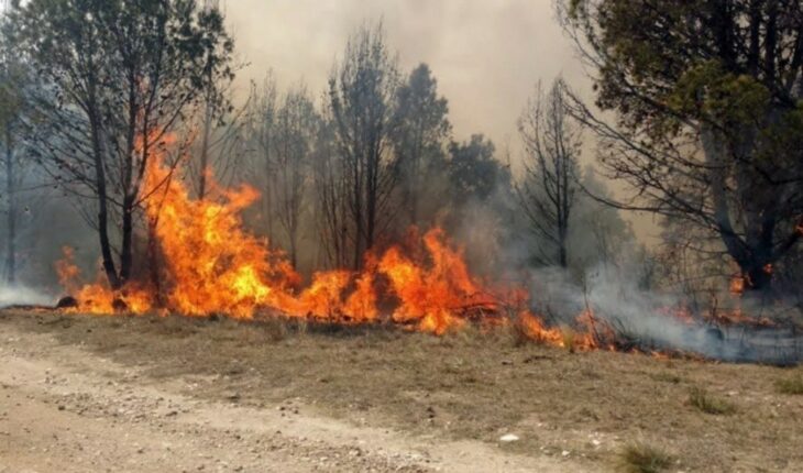Nueve provincias registran focos activos de incendios forestales