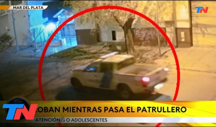 Video: MAR DEL PLATA: Delincuentes robaron una marmolería mientras pasaba un patrullero
