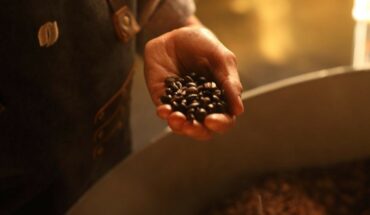 Del grano a la taza: cómo se produce el café que tomamos en casa
