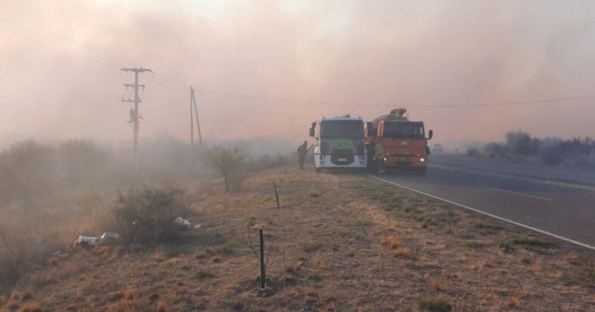 Five provinces recorded active forest fires
