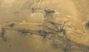 La bacteria «Conan», superresistente a la radiación, podría sobrevivir millones de años en Marte