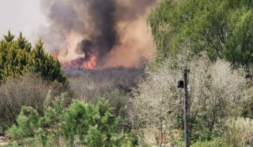 Mendoza: bomberos combatieron un incendio que se desató en Valle Grande