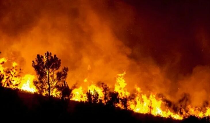 Seis provincias presentan incendios forestales