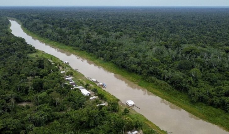 Amazonía, el tema clave en la COP27 sobre cambio climático