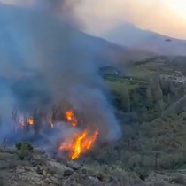Balance Onemi: 11 incendios forestales activos en el país y 37 viviendas afectadas