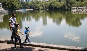 Ciudadanos denuncian muerte de peces en Lago de Chapultepec