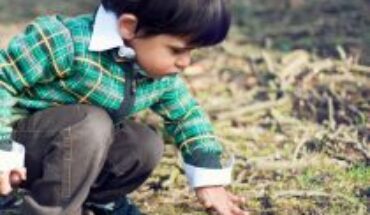 Education with nature: paths to integral education