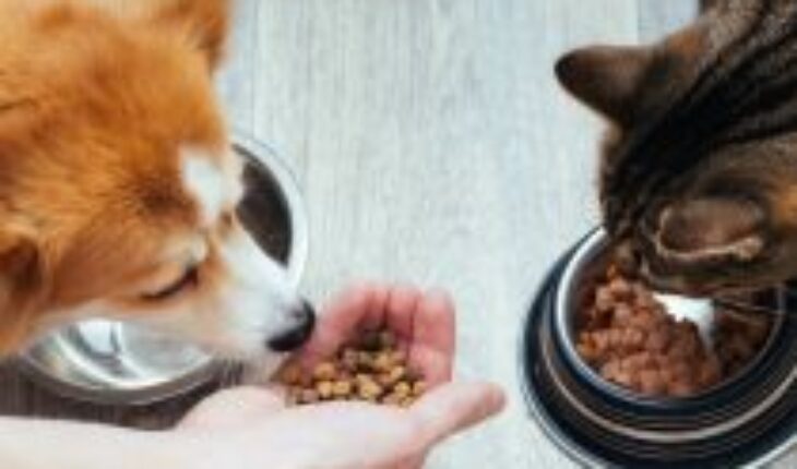 La “natural evolución” de los alimentos para mascotas