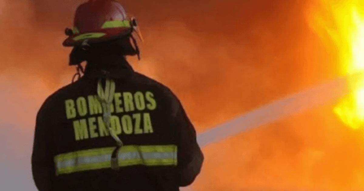 Los incendios forestales continuaban hoy en Córdoba y otras tres provincias