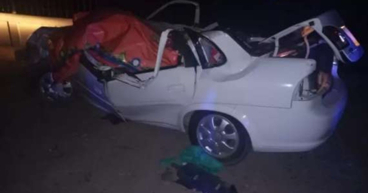 Mendoza: Un hombre murió aplastado por un árbol en Maipú cuando circulaba en auto