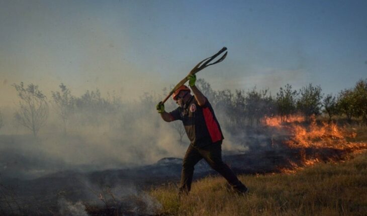 Two fires devastated hectares of grasslands on the border between Salta and Jujuy
