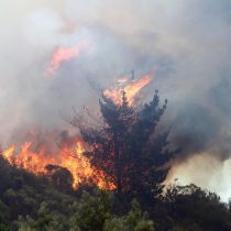 Balance de la Onemi por incendios forestales: nueve siniestros activos y 52 controlados