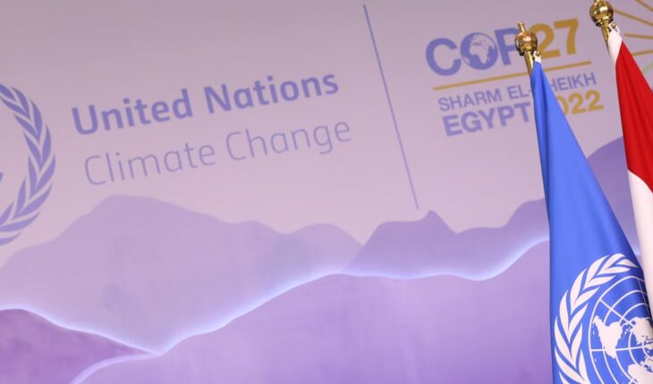 COP27: expectativas y limitaciones