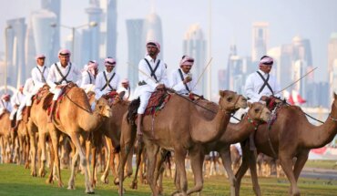 Camel virus concern: outbreaks could follow Qatar 2022 World Cup