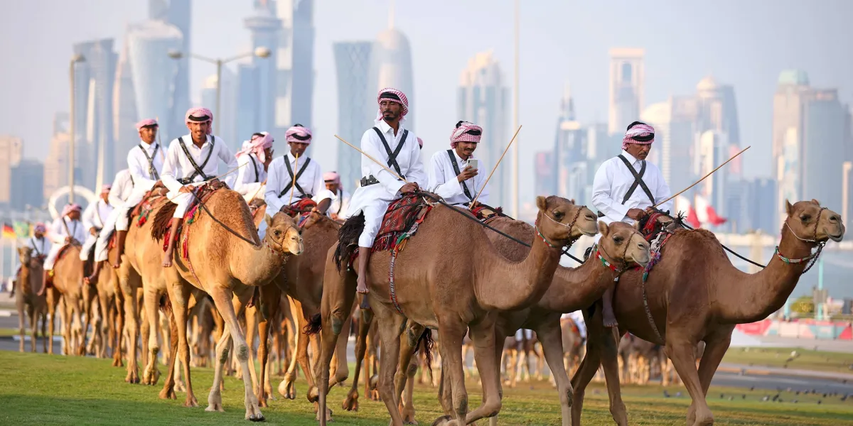Camel virus concern: outbreaks could follow Qatar 2022 World Cup