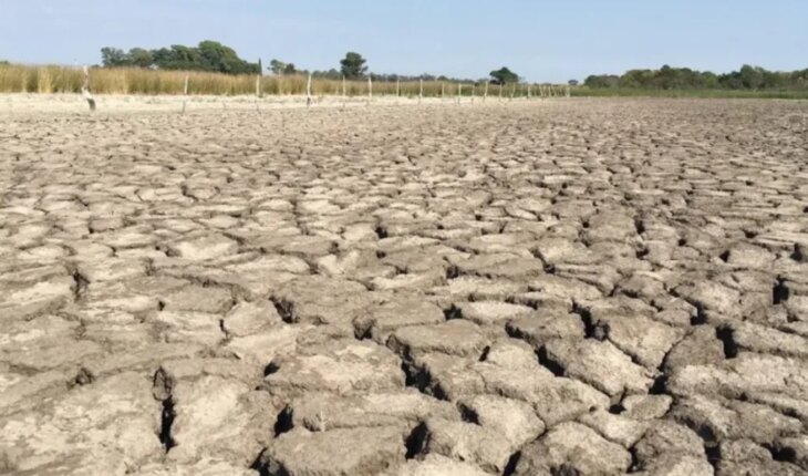 Entre Ríos needs more than 100 millimeters of rain to neutralize its drought situation