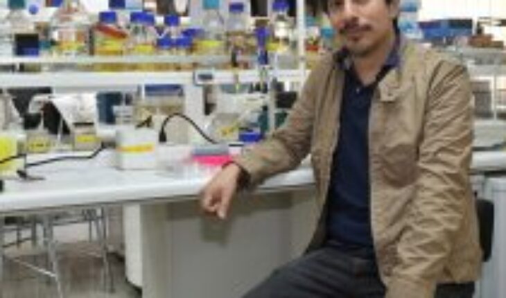 Investigadores chilenos desarrollan nueva terapia para alergias ambientales