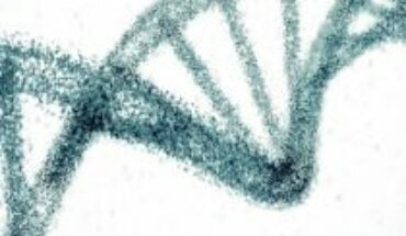 La bioética será la guardiana de la manipulación genética