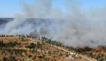 Ordenan acuartelamiento de bomberos de Viña del Mar y Valparaíso ante incendios forestales en la región: Delegación Presidencial decreta alerta amarilla para la zona