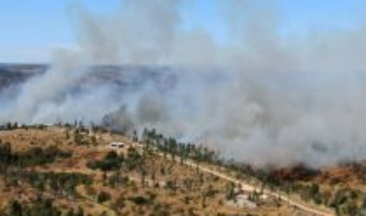 Ordenan acuartelamiento de bomberos de Viña del Mar y Valparaíso ante incendios forestales en la región: Delegación Presidencial decreta alerta amarilla para la zona