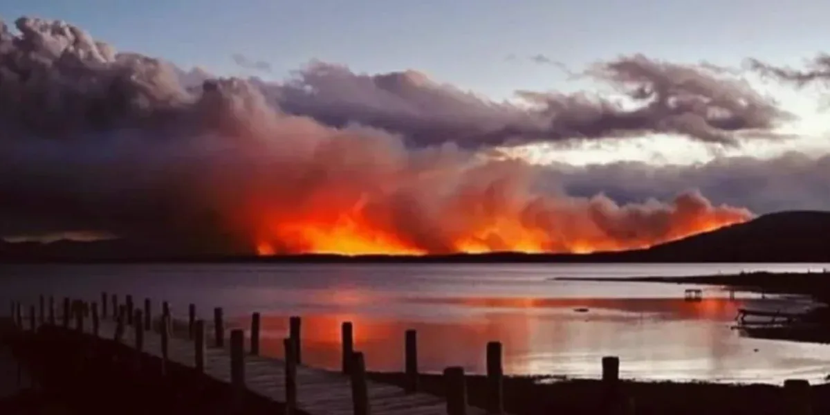 Tierra del Fuego: el incendio forestal permanece activo