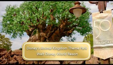 Video: Te invitamos a conocer Disney’s Animal Kingdom Theme Park en Walt Disney World Resort