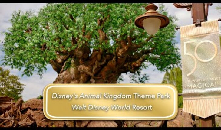 Video: Te invitamos a conocer Disney’s Animal Kingdom Theme Park en Walt Disney World Resort