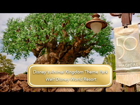 Te invitamos a conocer Disney’s Animal Kingdom Theme Park en Walt Disney World Resort